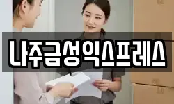 나주금성익스프레스