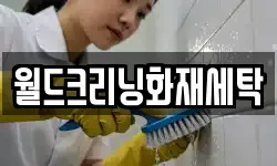 월드크리닝화재세탁