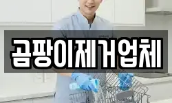 곰팡이제거업체