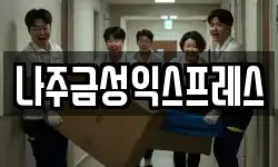 나주금성익스프레스