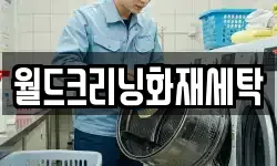 월드크리닝화재세탁