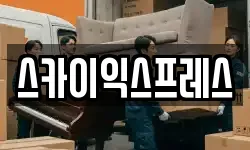 스카이익스프레스
