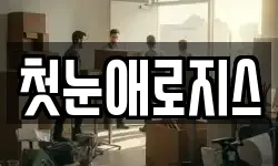 첫눈애로지스