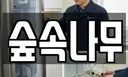 숲속나무