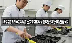 하수구뚫음하수도막힘뚫는곳정화조막힘횡주관오주관청소맨홀역류