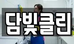 담빛클린