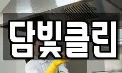담빛클린