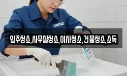 입주청소,사무실청소,이사청소,건물청소,소독