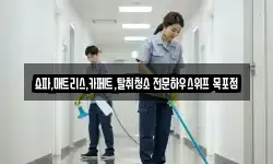 쇼파,매트리스,카페트,탈취청소 전문하우스위프 목포점