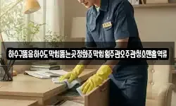하수구뚫음하수도막힘뚫는곳정화조막힘횡주관오주관청소맨홀역류