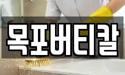 전남 목포시 대성동 청소,입주청소,사무실청소,에어컨청소