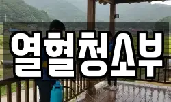 열혈청소부