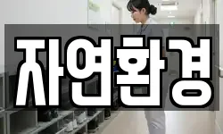 자연환경