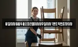 용달이사원룸투룸오피스텔이사사무실이사1톤트럭반포장이사