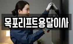 목포리프트용달이사