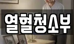 열혈청소부