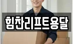 힘찬리프트용달