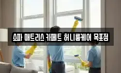 소파 매트리스 카페트 허니룸케어 목포점