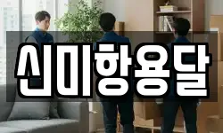 신미항용달