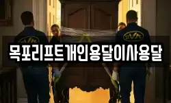 목포리프트개인용달이사용달