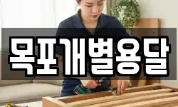 목포개별용달