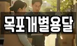 목포개별용달