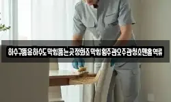 하수구뚫음하수도막힘뚫는곳정화조막힘횡주관오주관청소맨홀역류