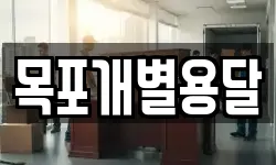 목포개별용달