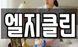엘지클린
