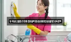 입주청소건물관리미화경비용역모든청소에어컨청소물탱크소독방역