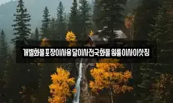 전남 목포시 영해동2가 이사,용달이사,포장이사,원룸이사,보관이사