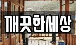 깨끗한세상