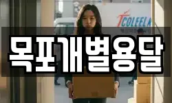 목포개별용달