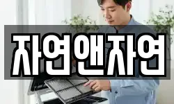 자연앤자연