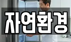 자연환경