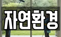 자연환경