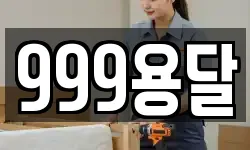 999용달