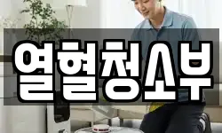 열혈청소부