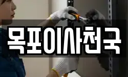 목포이사천국