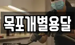 목포개별용달