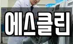 에스클린