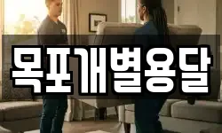 목포개별용달