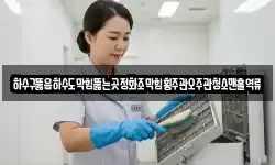 하수구뚫음하수도막힘뚫는곳정화조막힘횡주관오주관청소맨홀역류