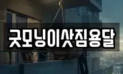 굿모닝이삿짐용달