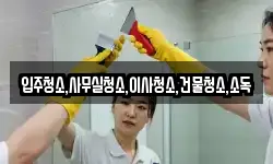 입주청소,사무실청소,이사청소,건물청소,소독