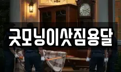 굿모닝이삿짐용달