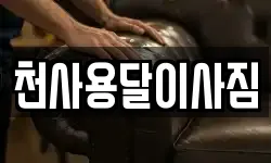 전남 무안군 청계면 이사,용달이사,포장이사,원룸이사,보관이사
