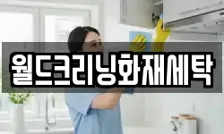 월드크리닝화재세탁