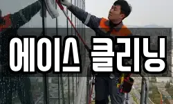 에이스 클리닝