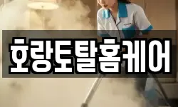 호랑토탈홈케어